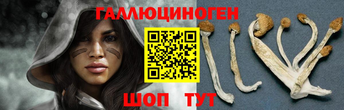 Галлюциногенные грибы GOLDEN TEACHER  Вход с VPN  Дедовск 